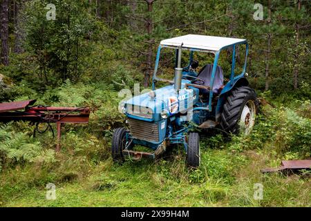 KINSARVIK, NORVEGIA - 10 AGOSTO 2016: Vecchio trattore Ford 3000 blu abbandonato e overgron come attrezzatura agricola inutilizzata Foto Stock