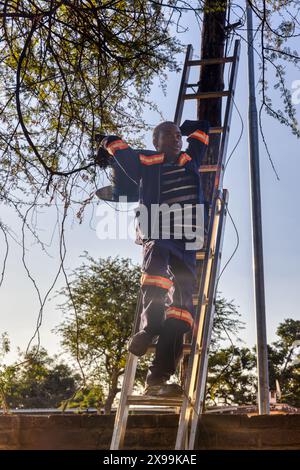 rotolo di cavo in fibra ottica sollevato su una scala a cavalletto dal lavoratore africano Foto Stock