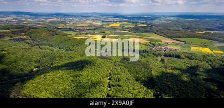 Luftbild, NSG Naturschutzgebiet Hinnenburger Forst mit Emder Bachtal, Waldgebiet mit Blick auf den Ort Erwitzen, Windkraftanlage Windräder im Hintergrund, Fernsicht mit blauem Himmel und Wolken, Erwitzen, Nieheim, Ostwestfalen, Nordrhein-Westfalen, Deutschland ACHTUNGxMINDESTHONORARx60xEURO *** Vista aerea, riserva naturale Hinnenburger Forst con Emder Bachtal, area forestale con vista sul villaggio di Erwitzen, turbine eoliche sullo sfondo, vista in lontananza con cielo azzurro e nuvole, Erwitzen, Nieheim, Vestfalia orientale, Renania settentrionale-Vestfalia, Germania ATTENTIONxMINDESTHONORARx60xEURO Foto Stock