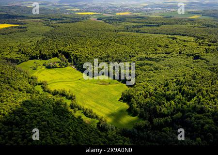 Luftbild, NSG Naturschutzgebiet Hinnenburger Forst mit Emder Bachtal, Wiese und Wohnhaus Emde, Erwitzen, Nieheim, Ostwestfalen, Nordrhein-Westfalen, Deutschland ACHTUNGxMINDESTHONORARx60xEURO *** Fotografia aerea, riserva naturale Hinnenburger Forst con Emder Bachtal, prato e casa Emde, Erwitzen, Nieheim, Westfalia orientale, Renania settentrionale-Vestfalia, Germania ATTENTIONxMINDESTHONORARx60xEURO Foto Stock