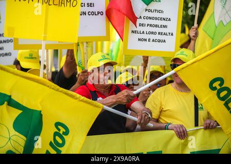 Palermo, Italia. 28 maggio 2024. Migliaia di agricoltori Coldiretti manifestano a Palermo contro il governo della Sicilia. (Credit Image: © Antonio Melita/Pacific Press via ZUMA Press Wire) SOLO PER USO EDITORIALE! Non per USO commerciale! Foto Stock