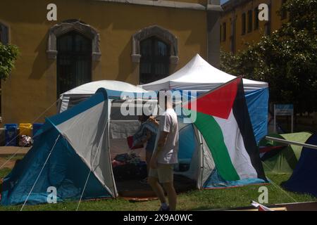 Asturie, Spagna. 29 maggio 2024. Un ultra minaccia gli studenti accampati per la Palestina all'Università di Oviedo, gli studenti in concentrazione a causa degli ultimi eventi a Rafah. (Credit Image: © Mercedes Menendez/Pacific Press via ZUMA Press Wire) SOLO PER USO EDITORIALE! Non per USO commerciale! Foto Stock