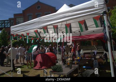 Asturie, Spagna. 29 maggio 2024. Un ultra minaccia gli studenti accampati per la Palestina all'Università di Oviedo, gli studenti in concentrazione a causa degli ultimi eventi a Rafah. (Credit Image: © Mercedes Menendez/Pacific Press via ZUMA Press Wire) SOLO PER USO EDITORIALE! Non per USO commerciale! Foto Stock