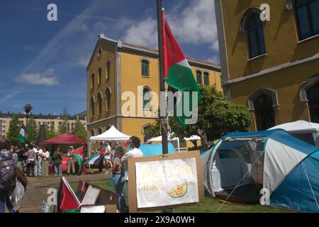 Asturie, Spagna. 29 maggio 2024. Un ultra minaccia gli studenti accampati per la Palestina all'Università di Oviedo, gli studenti in concentrazione a causa degli ultimi eventi a Rafah. (Credit Image: © Mercedes Menendez/Pacific Press via ZUMA Press Wire) SOLO PER USO EDITORIALE! Non per USO commerciale! Foto Stock