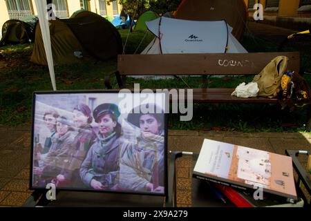 Asturie, Spagna. 29 maggio 2024. Un ultra minaccia gli studenti accampati per la Palestina all'Università di Oviedo, gli studenti in concentrazione a causa degli ultimi eventi a Rafah. (Credit Image: © Mercedes Menendez/Pacific Press via ZUMA Press Wire) SOLO PER USO EDITORIALE! Non per USO commerciale! Foto Stock