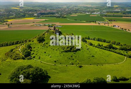 Luftbild, Burg Desenberg auf einem Vulkankegel, historische Sehenswürdigkeit, Ruine einer Höhenburg in der Warburger Börde, Blick zum Ort Daseburg, Daseburg, Warburg, Ostwestfalen, Nordrhein-Westfalen, Deutschland ACHTUNGxMINDESTHONORARx60xEURO *** Vista aerea, Castello di Desenberg su un cono vulcanico, vista storica, rovine di un castello collinare nel Warburger Börde, vista sul villaggio di Daseburg, Daseburg, Warburg, Westfalia orientale, Renania settentrionale-Vestfalia, Germania ATTENTIONxMINDESTHONORARx60xEURO Foto Stock