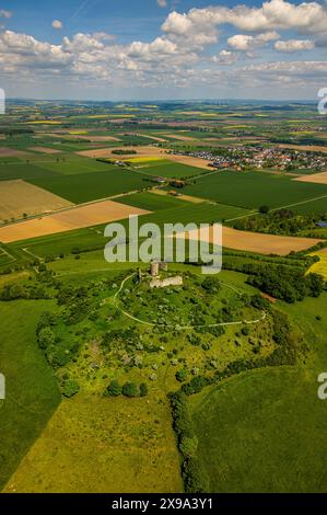 Luftbild, Burg Desenberg auf einem Vulkankegel, historische Sehenswürdigkeit, Ruine einer Höhenburg in der Warburger Börde, kachelförmige Wiesen und Felder mit Fernsicht, Daseburg, Warburg, Ostwestfalen, Nordrhein-Westfalen, Deutschland ACHTUNGxMINDESTHONORARx60xEURO *** Vista aerea, Castello di Desenberg su un cono vulcanico, vista storica, rovine di un castello collinare nel Warburg Börde, prati piastrellati e campi con vista lontana, Daseburg, Warburg, Westfalia orientale, Renania settentrionale-Vestfalia, Germania ATTENTIONxMINDESTHONORARx60xEURO Foto Stock