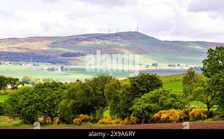 Dundee, Tayside, Scozia, Regno Unito. 30 maggio 2024. Meteo nel Regno Unito: La Strathmore Valley e le Sidlaw Hills a Dundee, in Scozia, stanno vivendo una copertura nebulizzata, il sole e i venti azzurri. Crediti: Dundee Photographics/Alamy Live News Foto Stock