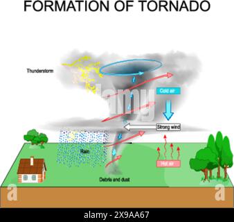 Formazione di tornado. Condizioni atmosferiche avverse. Tornadogenesi. Temporale. Illustrazione vettoriale Illustrazione Vettoriale