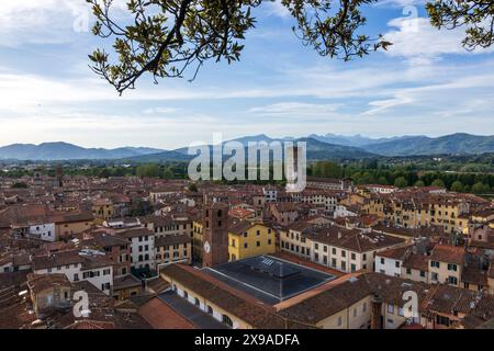 Una splendida vista dalla Torre Guinigi dei tetti in terracotta nella storica città medievale di Lucca in Toscana, in una giornata di sole con nuvole Foto Stock