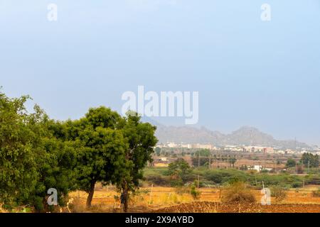 Questa tranquilla immagine cattura l'essenza della bellezza rurale con un primo piano di verde vivace, un terreno centrale caratterizzato da Foto Stock