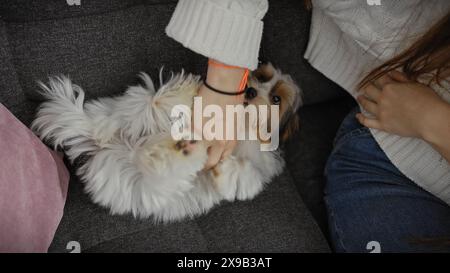 Una giovane donna gode di un momento accogliente con il suo yorkshire terrier biewer su un divano grigio al chiuso. Foto Stock