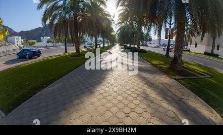 Fotografia di un sentiero vuoto con palme nell'Oman, città vecchia di Mascate, durante le giornate di sole primaverili Foto Stock