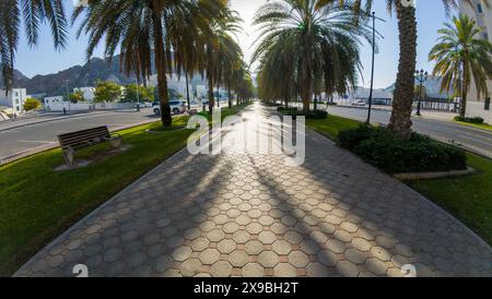 Fotografia di un sentiero vuoto con palme nell'Oman, città vecchia di Mascate, durante le giornate di sole primaverili Foto Stock