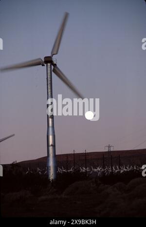 San Gorgonio Pass, CA. USA. 1983. Nei pressi di Palm Springs, circa 1.220 turbine beneficiano dei «venti» che attraversano il passo. “Energia verde” al suo meglio. Lo sviluppo del parco eolico è iniziato negli anni '1980 È uno dei tre principali parchi eolici della California, insieme a quelli di Altamont e dei passi Tehachapi. Foto Stock