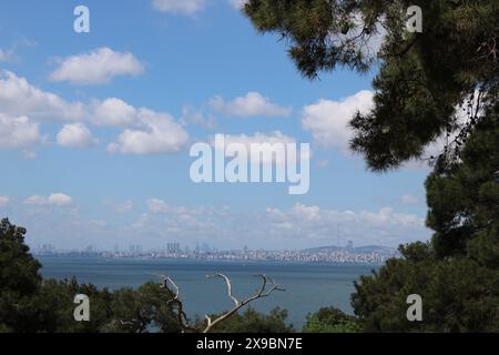 Panorama di Istanbul sul Bosforo. Paesaggio della parte asiatica con i famosi monumenti della Turchia. Viaggia in Europa Foto Stock