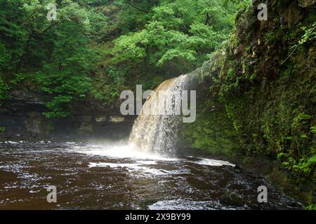 La cascata Sgwd Gwladys (Lady Falls) si trova sull'Afon (fiume) Pyrddin nel Brecon Beacons National Park in Galles. Foto Stock