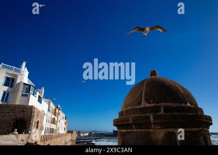 Essaouira, Marocco, una città sul mare sull'Oceano Atlantico con cieli blu e edifici bianchi e con la Skala de la Kasbah Foto Stock