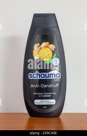 Pruszcz Gdanski, Polonia - 1 marzo 2024: Shampoo intenso anti-forfora Schauma maschile con zenzero. Foto Stock