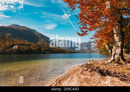 Una serena vista autunnale del Lago di Bohinj, Slovenia, caratterizzata da acque cristalline, montagne maestose e vivaci colori rosso e arancio. Foto Stock