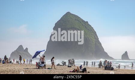 Haystack Rock in una calda domenica di sole con i visitatori di Cannon Beach che prendono il sole nel nord-ovest dell'Oregon. Foto Stock