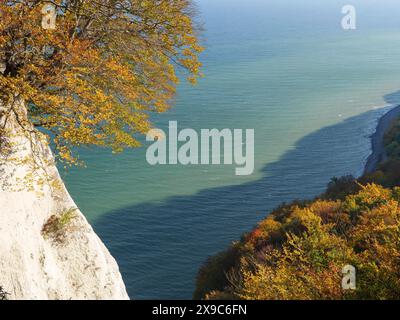 Scogliere con fogliame di colore autunnale e mare blu che scorre lungo la costa, scogliere di gesso sul mare blu con alberi di colore autunnale, ruegen, germania Foto Stock