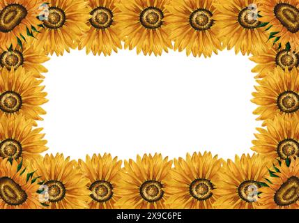 Cornice di girasoli ad acquerello. Cornice rettangolare con fiori gialli. Composizione floreale estiva. Disposizione dei fiori d'autunno. Botanico disegnato a mano Foto Stock