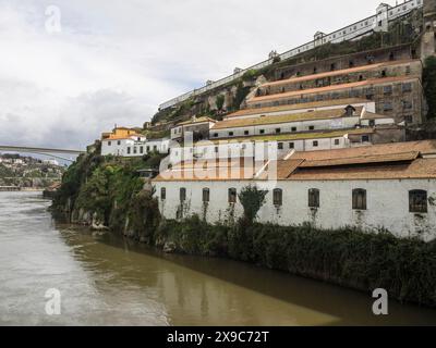 Edifici e terrazze dipinte di bianco su una collina verde sulla riva del fiume, la città vecchia di Porto sul fiume Douro con case colorate e una grande Foto Stock