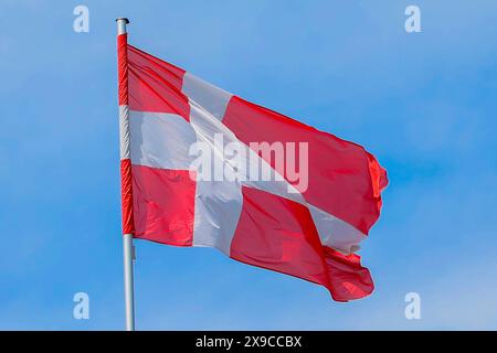 30.05.2024, Baden-Baden, Die dänische Fahne von Dänemark weht an einem Fahnenmast vor blauem Himmel im Wind. Baden-Württemberg Deutschland *** 30 05 2024, Baden Baden Baden, la bandiera danese della Danimarca vola su un palo contro un cielo blu al vento Baden Württemberg Germania Foto Stock