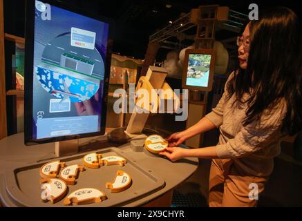 Vancouver, Canada. 30 maggio 2024. Una mostra interattiva mostra la quantità di emissioni di carbonio utilizzate da diversi mezzi di trasporto durante un'anteprima mediatica della mostra "Earth Matters: Rethink the Future" al Science World di Vancouver, British Columbia, Canada, il 30 maggio 2024. "Earth Matters: Rethink the Future" è l'ultima mostra al Science World di Vancouver, dove i visitatori possono esplorare i cambiamenti del pianeta attraverso mostre coinvolgenti e interattive sulla biodiversità, i cambiamenti climatici e la sostenibilità. Crediti: Liang Sen/Xinhua/Alamy Live News Foto Stock