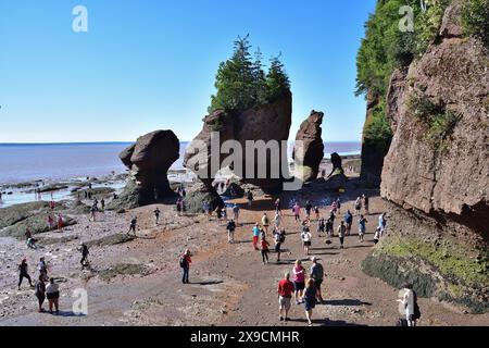 HOPEWELL CAPE, NEW-BRUNSWICK, CANADA - 15 agosto 2022 - Sea Stacks con bassa marea con turisti. Torre di roccia chiamata anche vasi di fiori. Foto Stock