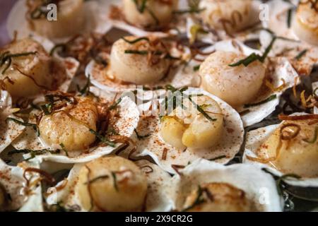 Capesante giganti scottate con salsa sul guscio Foto Stock