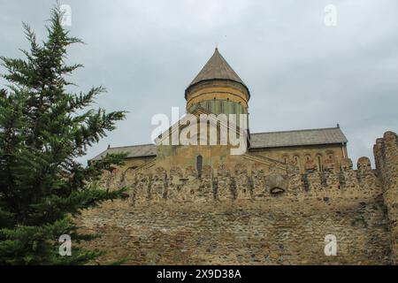 Fortezza di Ananuri. Il castello di Ananuri rappresenta un complesso architettonico multifunzionale del tardo periodo feudale in Georgia Foto Stock