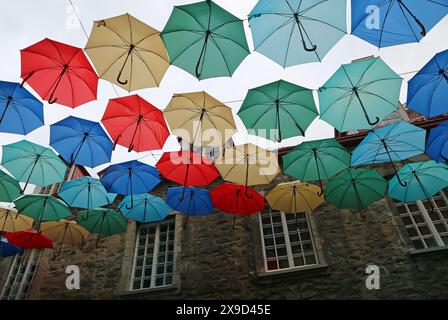 Ombrelloni e finestre - Rue du cUL-de-Sac, Quebec City, Canada Foto Stock