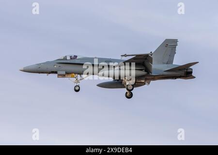 F-18 aereo da caccia Hornet Foto Stock