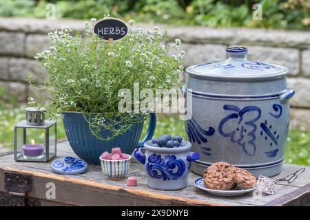 disposizione dei tavoli con piante di timo in pentola, mirtilli freschi, biscotti al cioccolato e pentola al rum Foto Stock