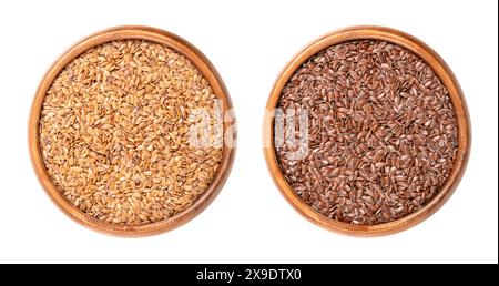 Semi di lino dorati e marroni in ciotole di legno. Lino comune intero o semi di lino, Linum usitatissimum, ricco di acidi grassi omega-3. Foto Stock