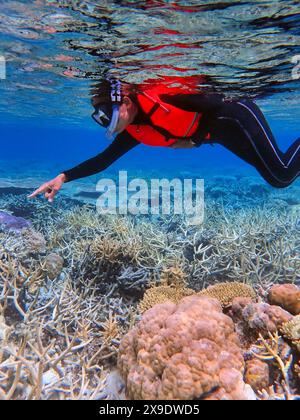 Isole Indonesia Anambas - donna che fa snorkeling nella barriera corallina Foto Stock