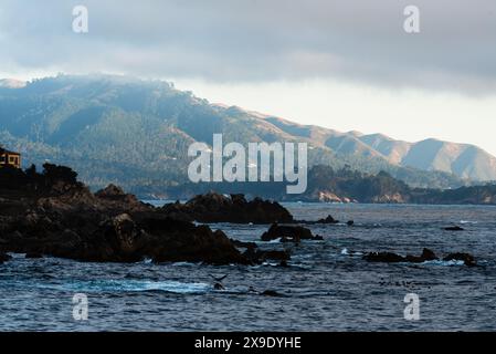 Costa rocciosa con onde oceaniche e montagne boscose. Foto Stock