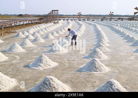 Uomo nella vastissima salina durante la stagione del raccolto, Samut Sakhon, provincia della Thailandia Foto Stock