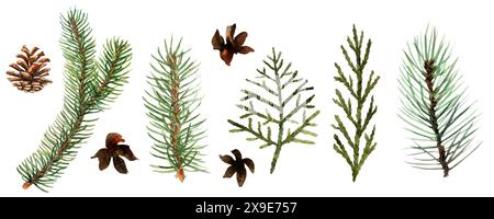 Set natalizio con illustrazione ad acquerello con abete, rami, cono, legno, agnello. Clipart disegnato a mano. Perfetto per cartoline, cartoline, etichette, inviti, stampe Foto Stock