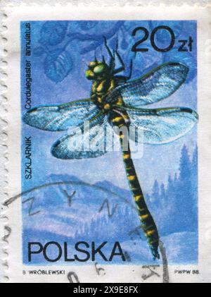 POLONIA - CIRCA 1988: Francobollo stampato dalla Polonia, mostra Cordulegaster Annulatus, circa 1988 Foto Stock