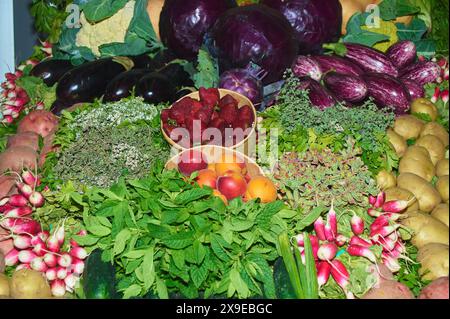 Un'immagine vibrante che mostra un assortimento di frutta e verdura fresche, perfetta per promuovere una nutrizione sana. Comprende melanzane, ravanelli, verde Foto Stock