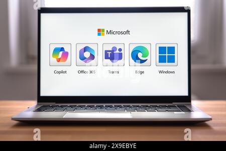 Prodotti Microsoft come Copilot, Office e Windows visualizzati sul notebook Foto Stock
