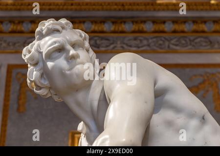 David, una scultura in marmo a grandezza naturale di Gian Lorenzo Bernini nel momento prima che lanci la pietra a Golia, Galleria Bhorghese, Roma, Italia Foto Stock