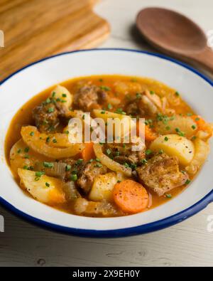 Stufato con costolette di maiale, patate e finocchio. Ricetta gastronomica tradizionale spagnola. Foto Stock