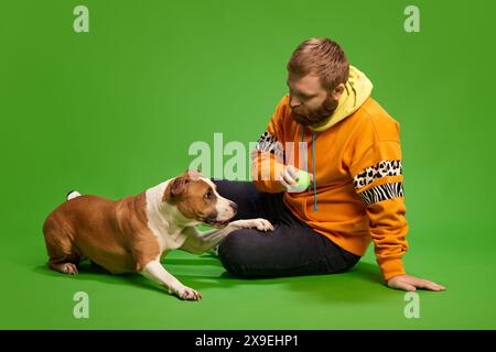 Giovane seduto sul pavimento e gioca con il suo cane Pitbull purosangue su un vivace sfondo verde dello studio. Tempo di gioco. Foto Stock