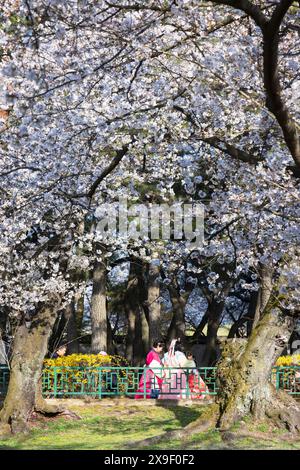 Donne che indossano abiti tradizionali nel complesso delle tombe di Daereungwon (patrimonio dell'umanità dell'UNESCO), Gyeongju, Corea del Sud Foto Stock