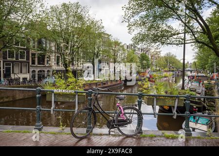 Bici e fioriere sul Berensluis che si snoda lungo il canale Prinsengracht ad Amsterdam, Paesi Bassi, il 29 maggio 2024. Foto Stock