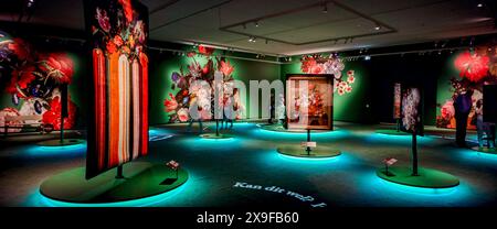 Panorama Paleis Het Loo architettura degli interni Museo della famiglia reale olandese Galleria sotterranea. Patrimonio culturale della destinazione turistica Foto Stock